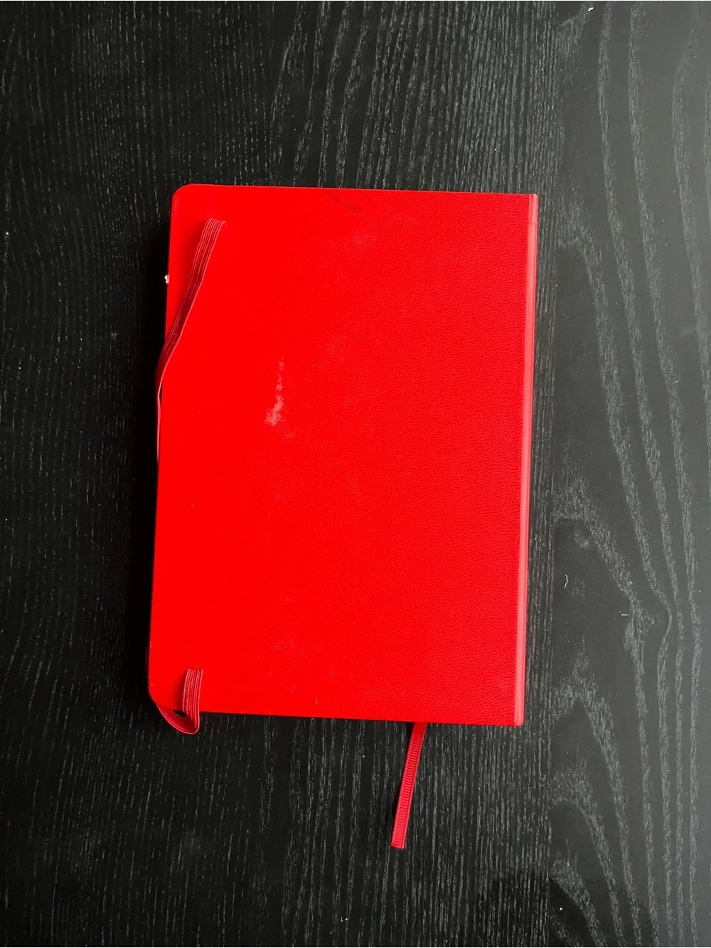 PAPERAGE Datadog Red Hardcover Lined Journal Notebook Bookmark 5.75x8 Inches